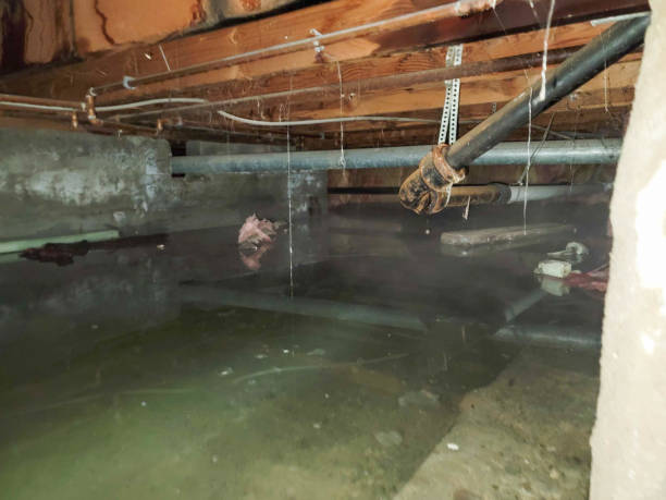 Best 24/7 water damage repair  in Lyman, WY