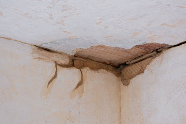  Lyman, WY Water damage restoration Pros