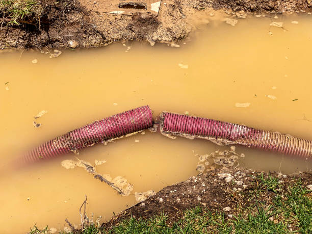Best Water damage contractors near me  in Lyman, WY