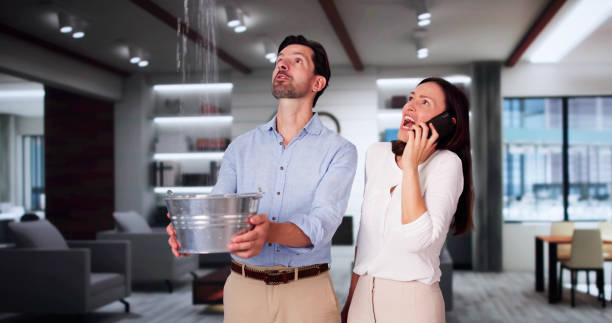 Best Water damage restoration near me  in Lyman, WY